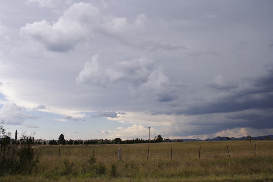 anvil thunderstorm_anvils : Deepwater, NSW   13 January 2007