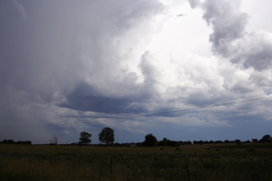 cumulonimbus thunderstorm_base : Emmaville, NSW   13 January 2007