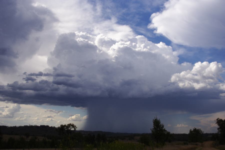 thunderstorm cumulonimbus_calvus : near Bonshaw, NSW   13 January 2007