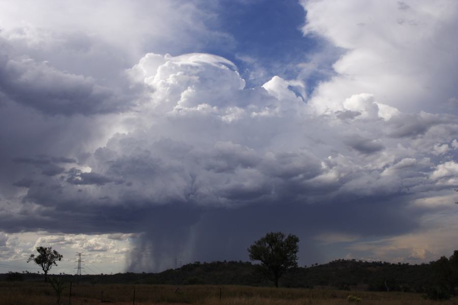 pileus pileus_cap_cloud : near Bonshaw, NSW   13 January 2007