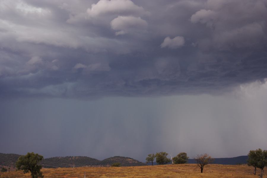 raincascade precipitation_cascade : near Bonshaw, NSW   13 January 2007