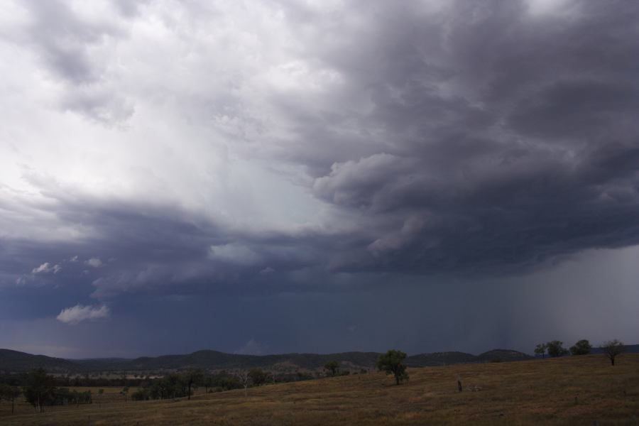 cumulonimbus thunderstorm_base : near Bonshaw, NSW   13 January 2007