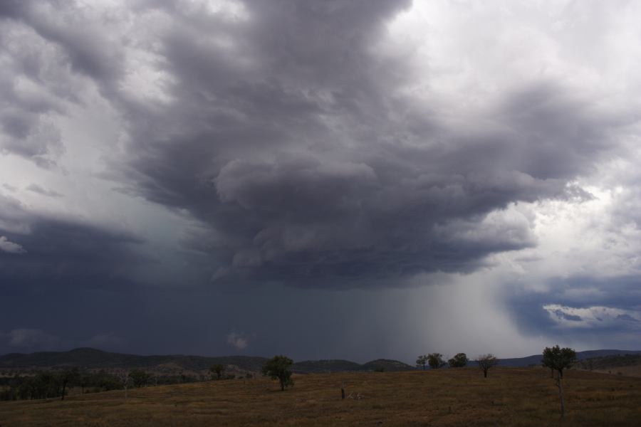 microburst micro_burst : near Bonshaw, NSW   13 January 2007