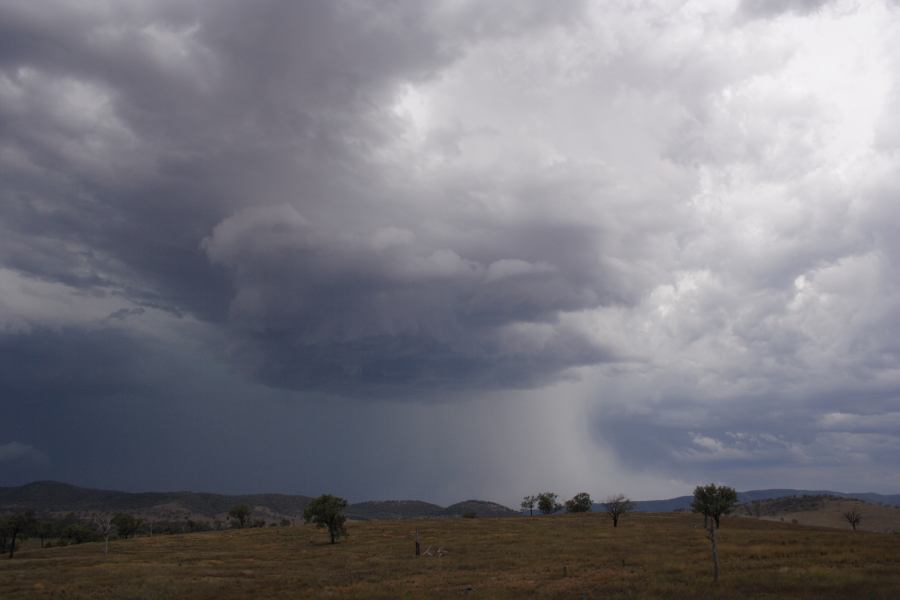 cumulonimbus thunderstorm_base : near Bonshaw, NSW   13 January 2007