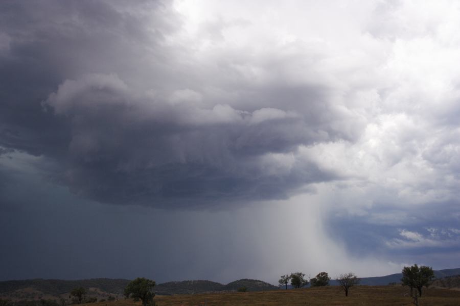 microburst micro_burst : near Bonshaw, NSW   13 January 2007