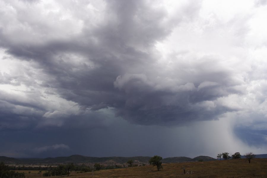 microburst micro_burst : near Bonshaw, NSW   13 January 2007