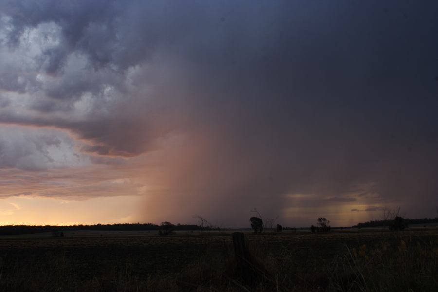 sunset sunset_pictures : ~ 40km N of Inglewood, QLD   13 January 2007