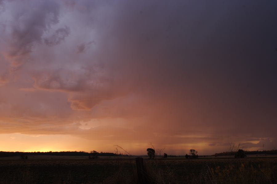 sunset sunset_pictures : ~ 40km N of Inglewood, QLD   13 January 2007