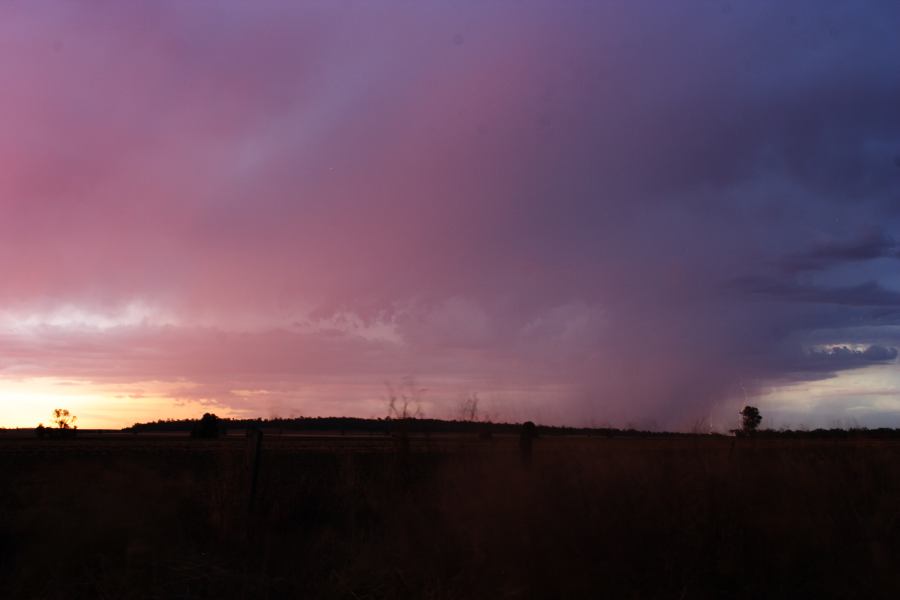 sunset sunset_pictures : ~ 40km N of Inglewood, QLD   13 January 2007