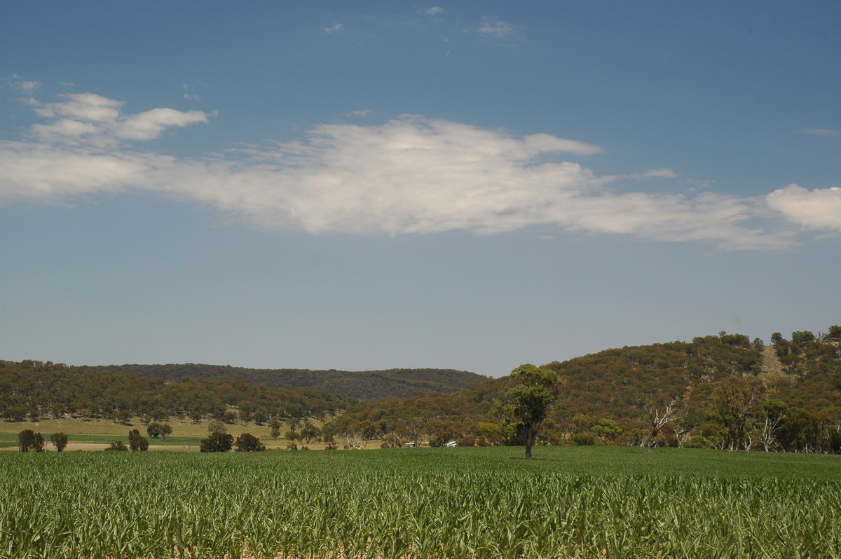 altocumulus castellanus : near Deepwater, NSW   13 January 2007