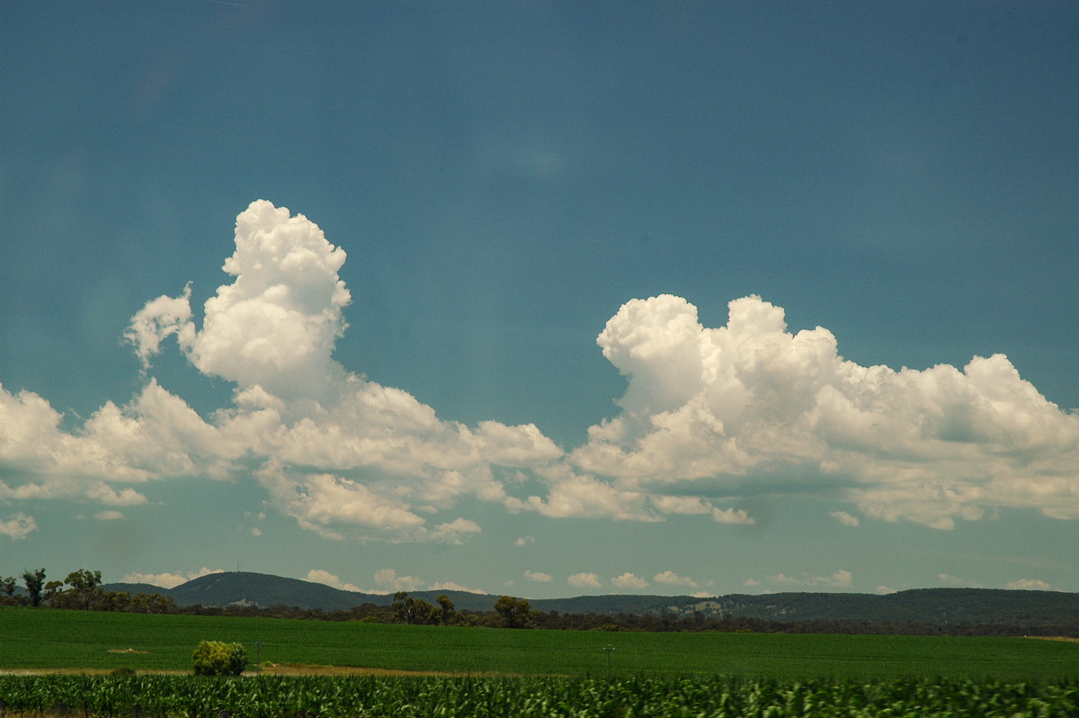 cumulus congestus : near Deepwater, NSW   13 January 2007