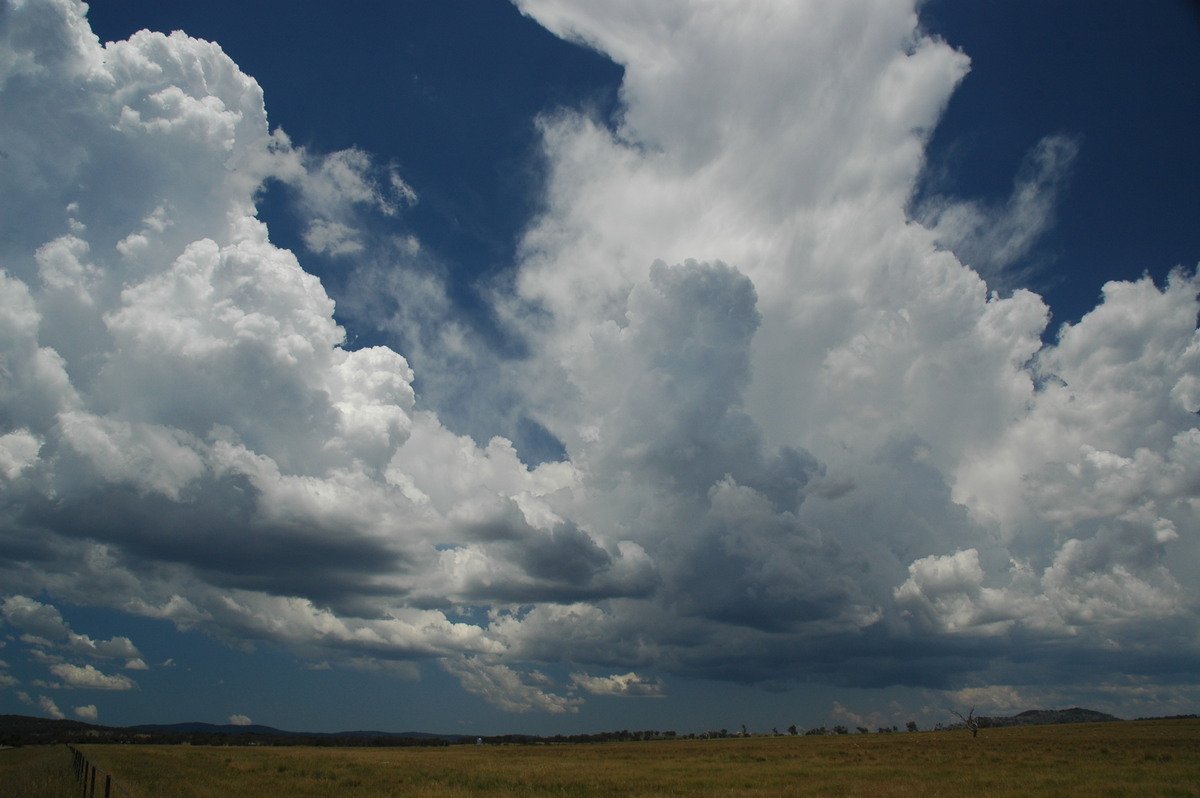 cumulus congestus : Deepwater, NSW   13 January 2007