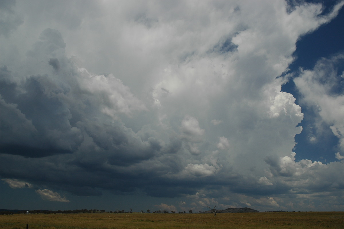 thunderstorm cumulonimbus_incus : Deepwater, NSW   13 January 2007