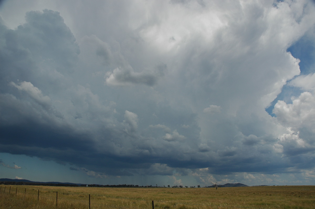 thunderstorm cumulonimbus_incus : Deepwater, NSW   13 January 2007