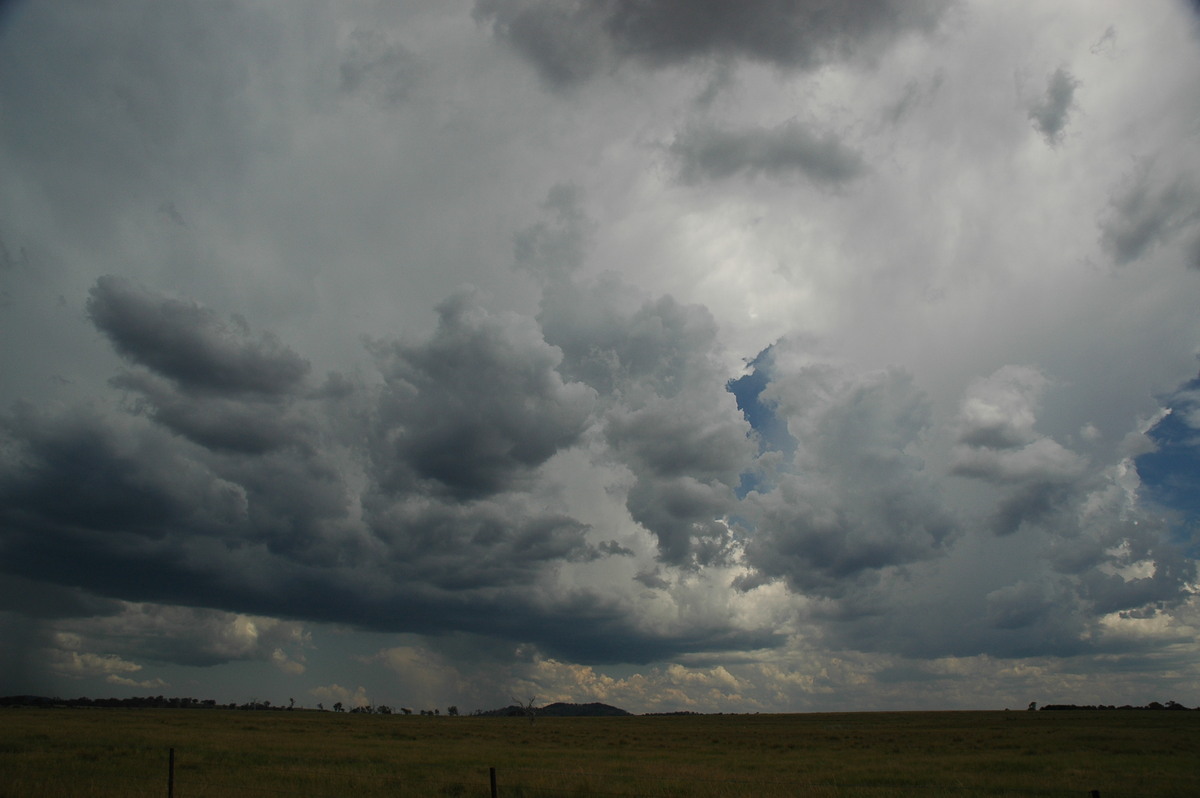 thunderstorm cumulonimbus_incus : Deepwater, NSW   13 January 2007