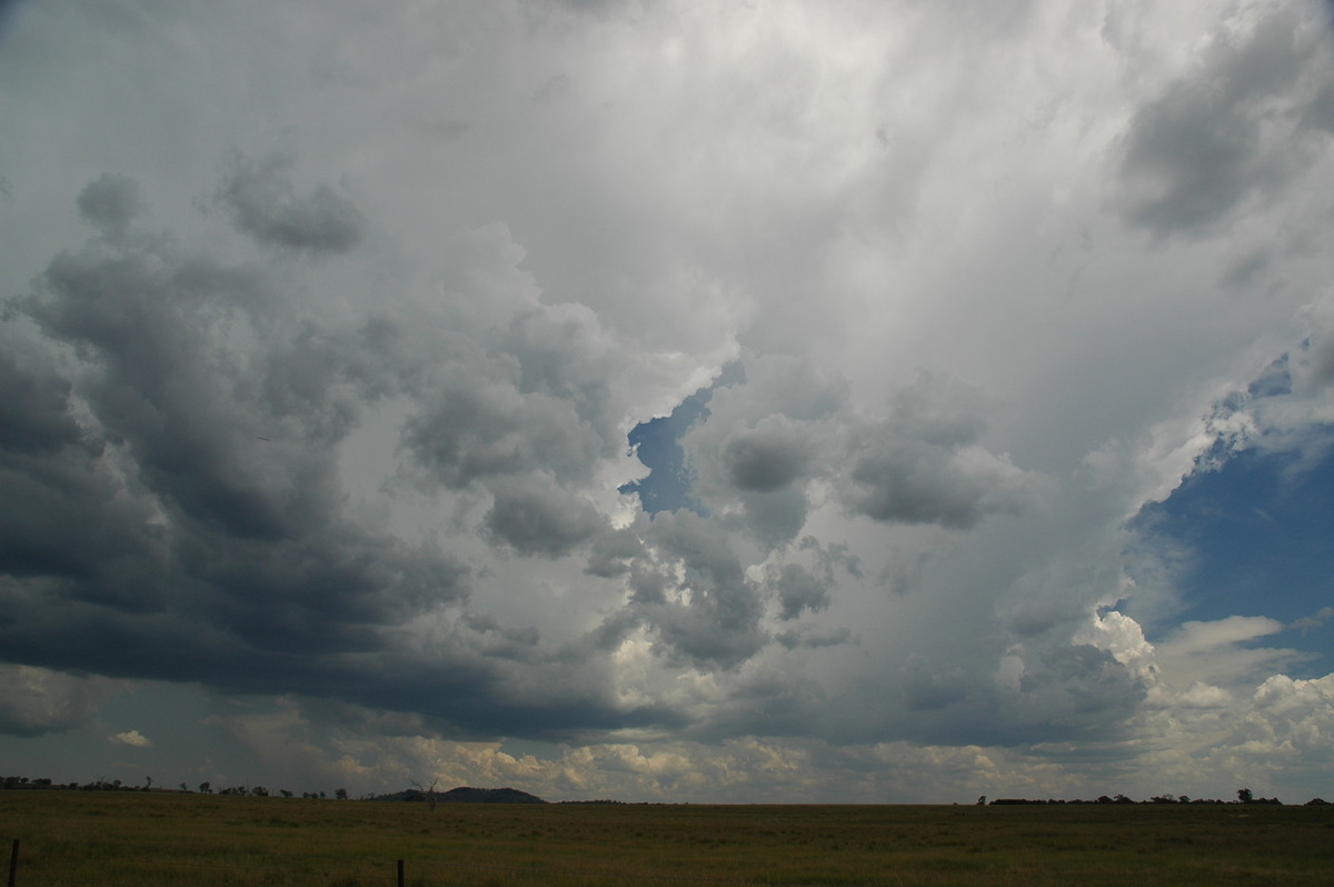 anvil thunderstorm_anvils : Deepwater, NSW   13 January 2007