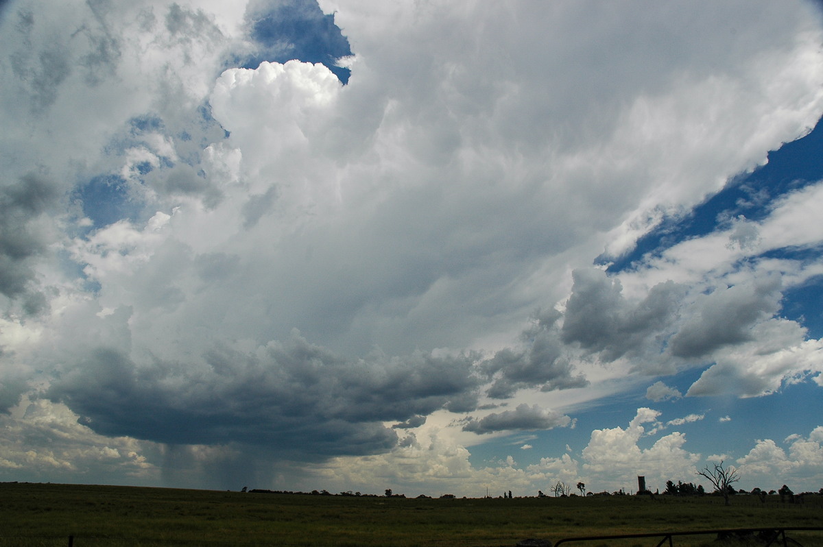 thunderstorm cumulonimbus_incus : Deepwater, NSW   13 January 2007