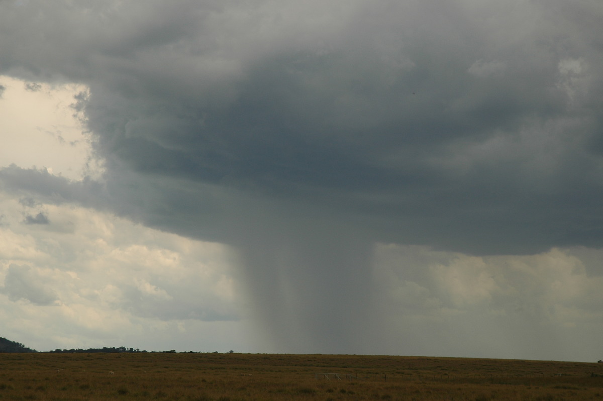 raincascade precipitation_cascade : Deepwater, NSW   13 January 2007