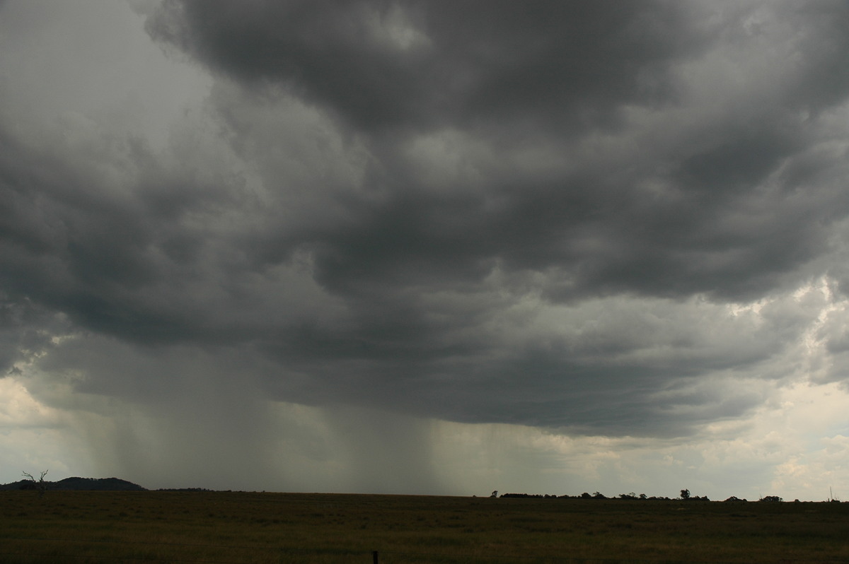 raincascade precipitation_cascade : Deepwater, NSW   13 January 2007