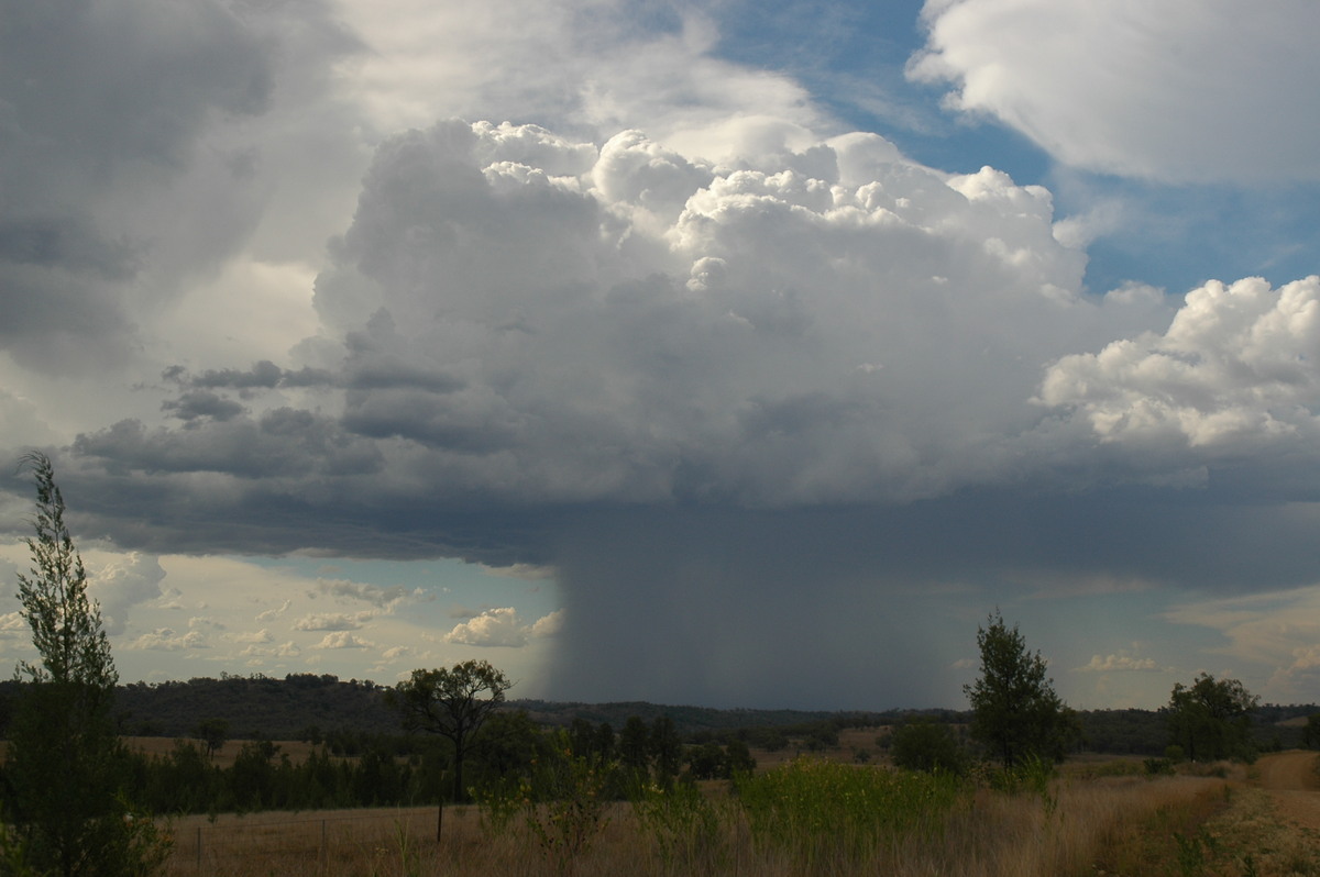 raincascade precipitation_cascade : near Bonshaw, NSW   13 January 2007