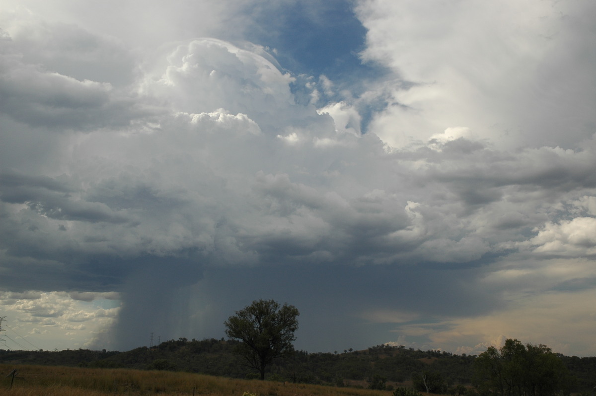 thunderstorm cumulonimbus_calvus : near Bonshaw, NSW   13 January 2007