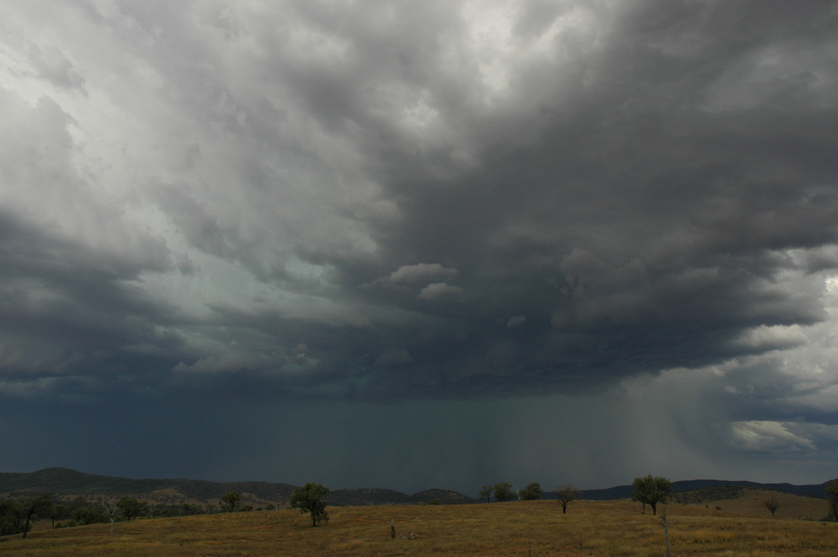 cumulonimbus thunderstorm_base : near Bonshaw, NSW   13 January 2007