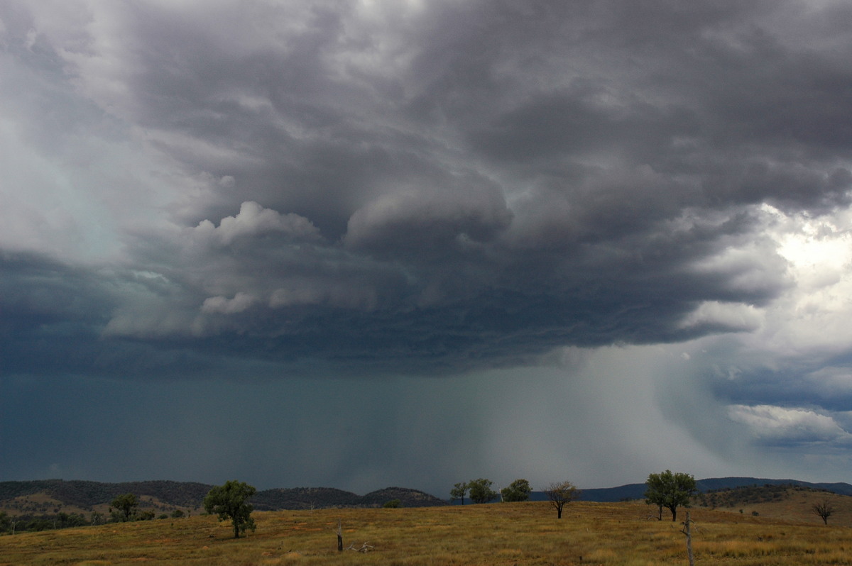 cumulonimbus thunderstorm_base : near Bonshaw, NSW   13 January 2007