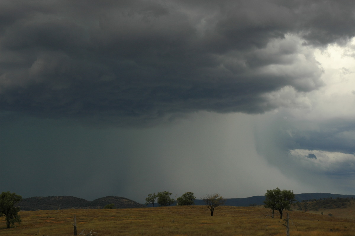 raincascade precipitation_cascade : near Bonshaw, NSW   13 January 2007