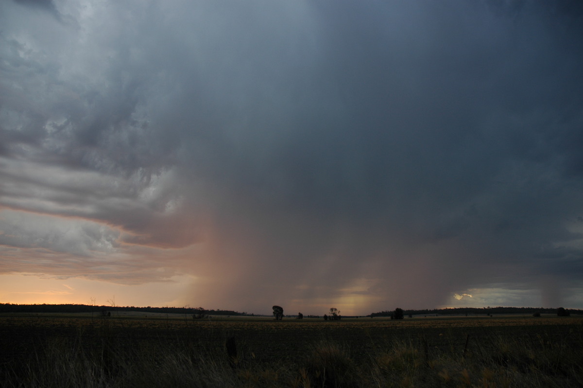 sunset sunset_pictures : near Milmerran, QLD   13 January 2007