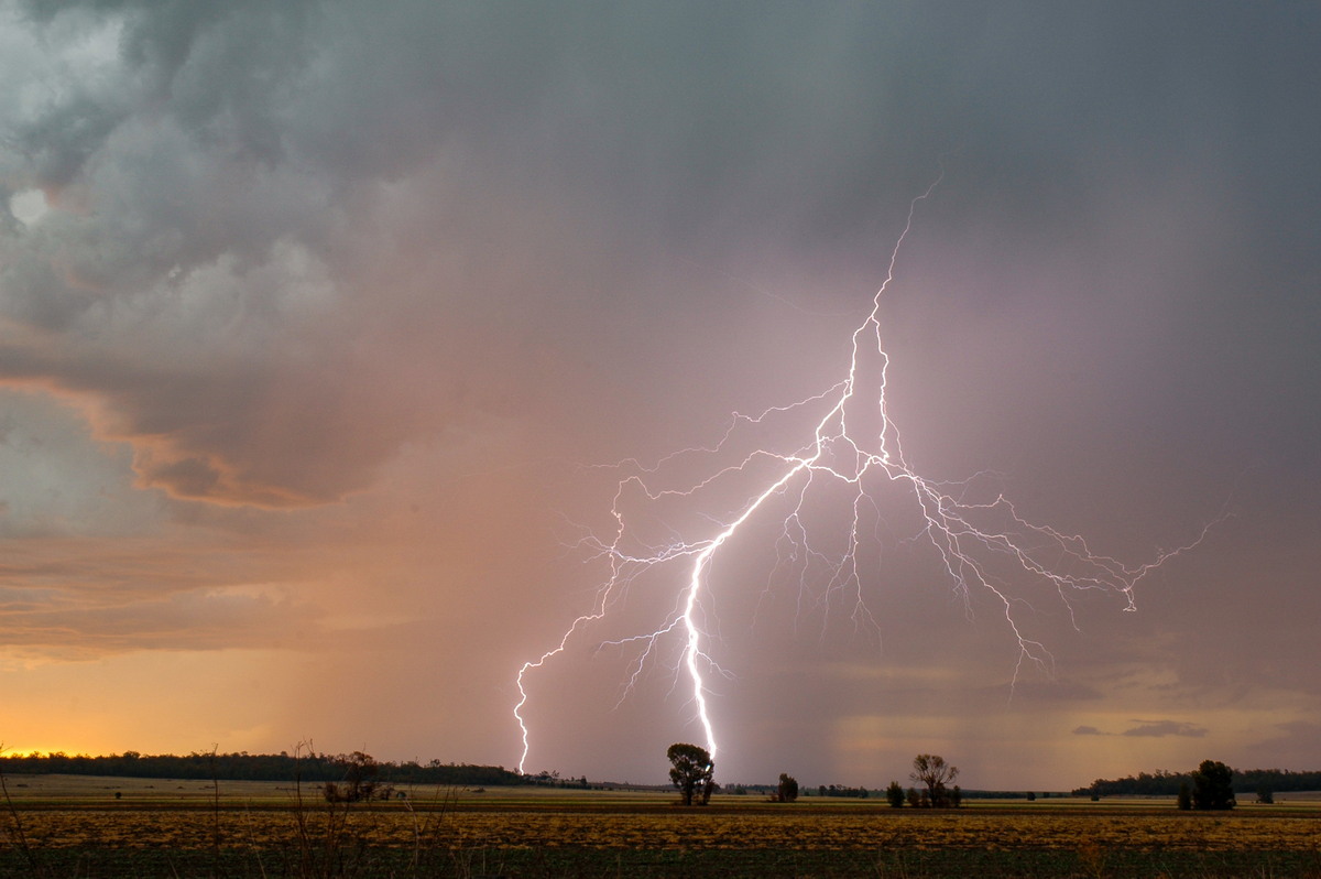 lightning lightning_bolts : near Milmerran, QLD   13 January 2007