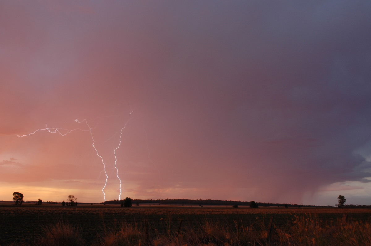 sunset sunset_pictures : near Milmerran, QLD   13 January 2007