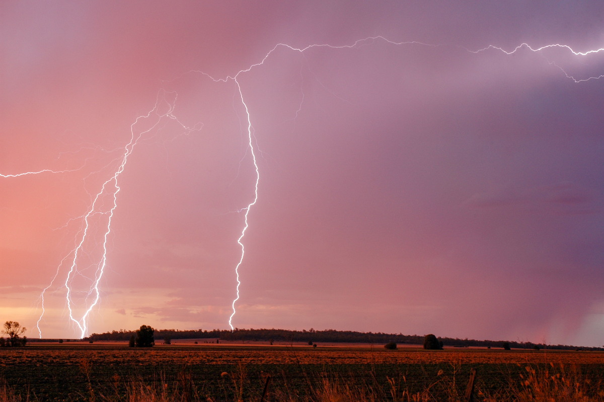 lightning lightning_bolts : near Milmerran, QLD   13 January 2007