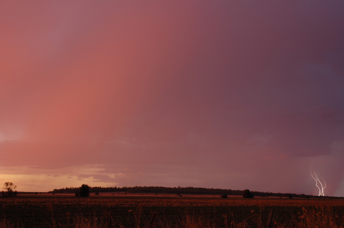 sunset sunset_pictures : near Milmerran, QLD   13 January 2007