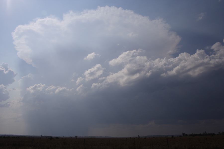 thunderstorm cumulonimbus_incus : 40km W of Millmerran, NSW   14 January 2007