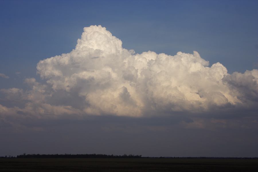 thunderstorm cumulonimbus_calvus : 40km NE of Goondiwindi, NSW   14 January 2007