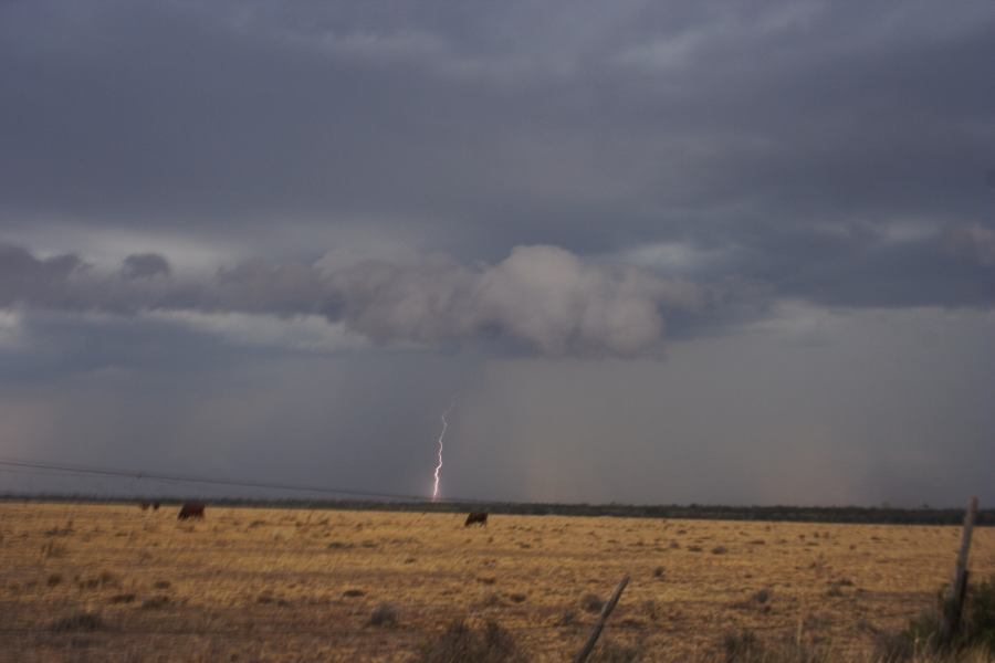 lightning lightning_bolts : 40km N of Goondiwindi, QLD   14 January 2007