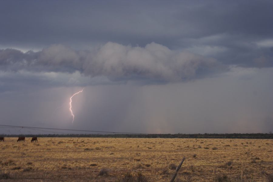 shelfcloud shelf_cloud : 40km N of Goondiwindi, NSW   14 January 2007