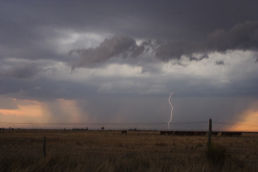 shelfcloud shelf_cloud : 40km N of Goondiwindi, NSW   14 January 2007