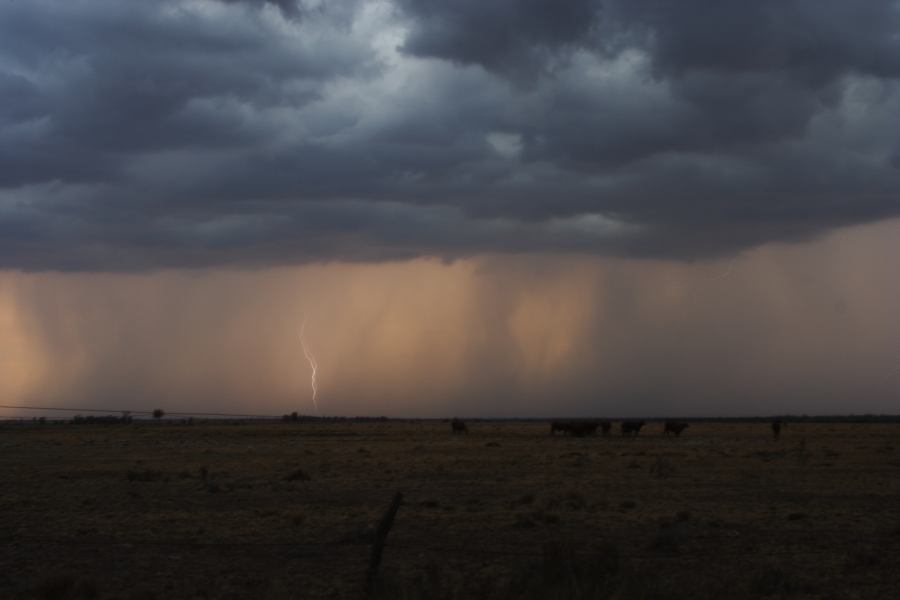 raincascade precipitation_cascade : 40km N of Goondiwindi, NSW   14 January 2007