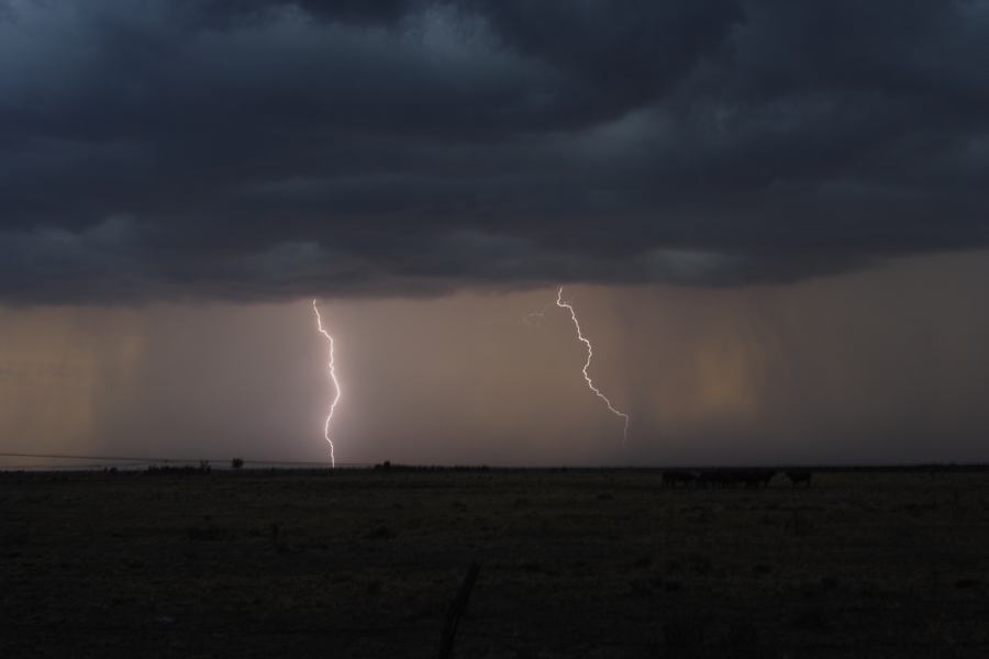 raincascade precipitation_cascade : 40km N of Goondiwindi, QLD   14 January 2007