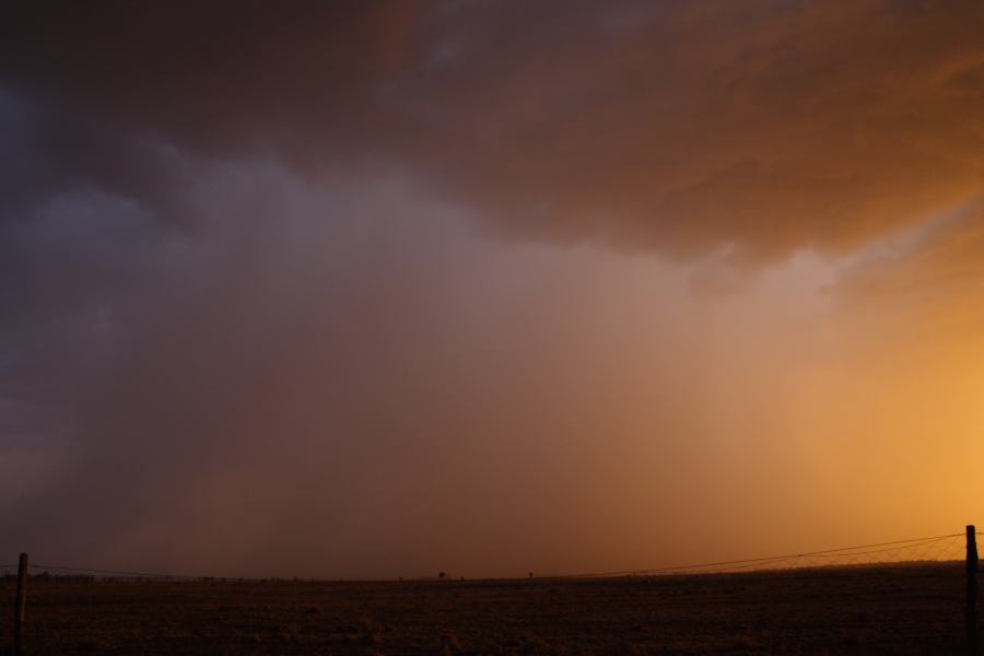 raincascade precipitation_cascade : 40km N of Goondiwindi, NSW   14 January 2007