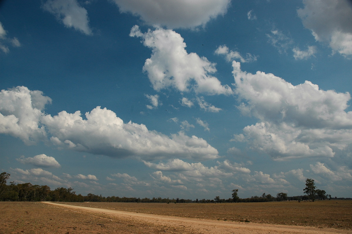 cumulus humilis : SW of Milmerran, QLD   14 January 2007