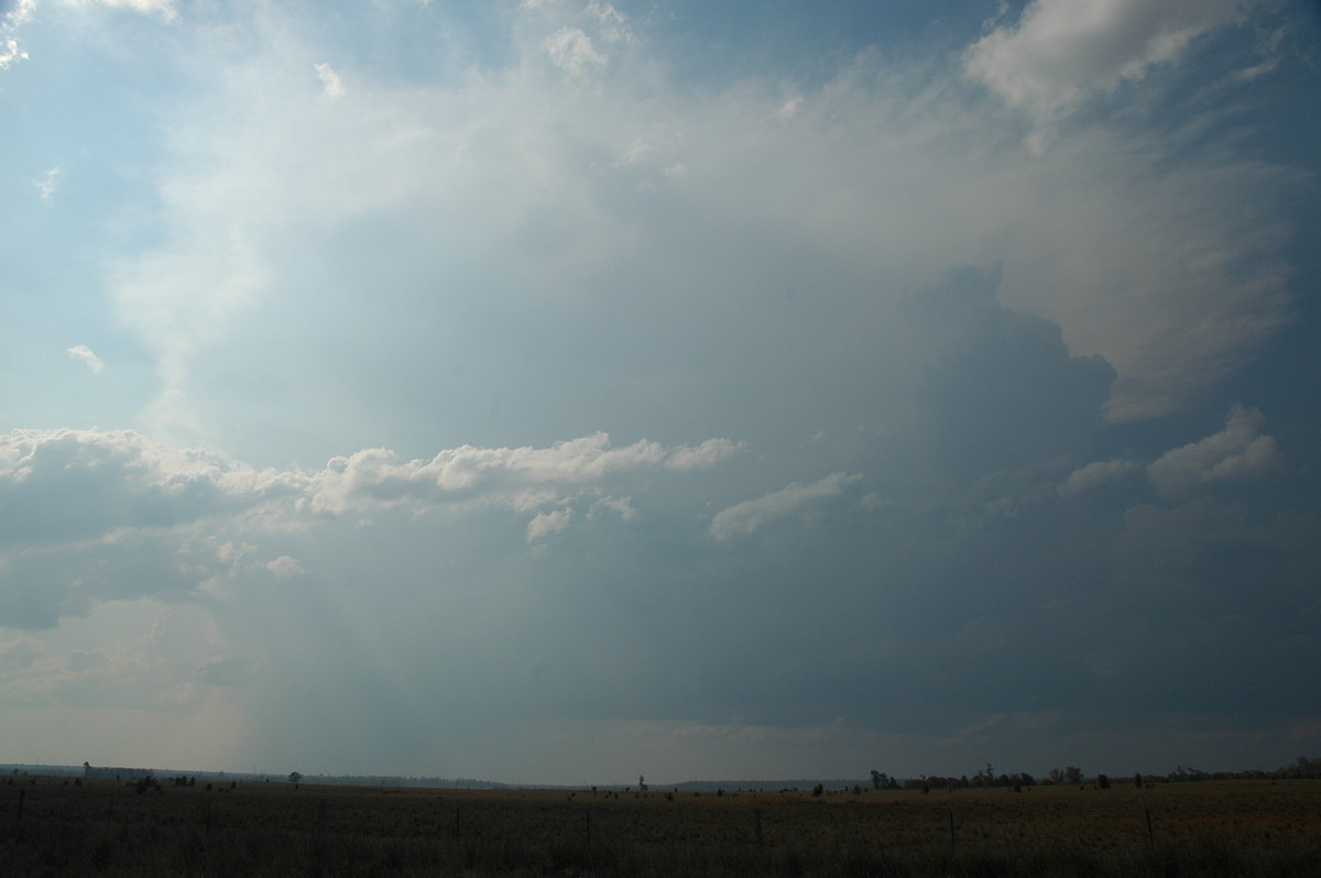 thunderstorm cumulonimbus_incus : SW of Milmerran, QLD   14 January 2007