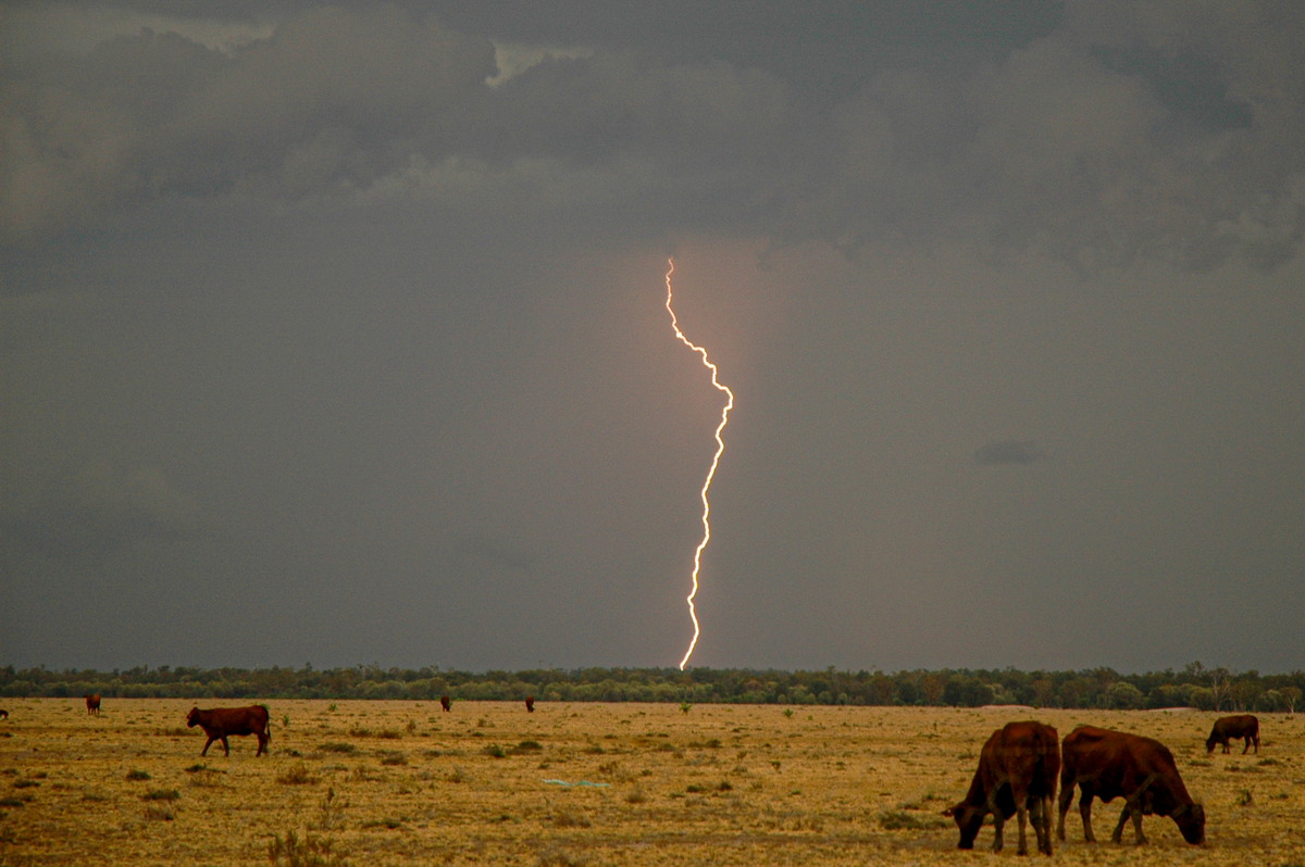 lightning lightning_bolts : N of Goodiwindi, QLD   14 January 2007