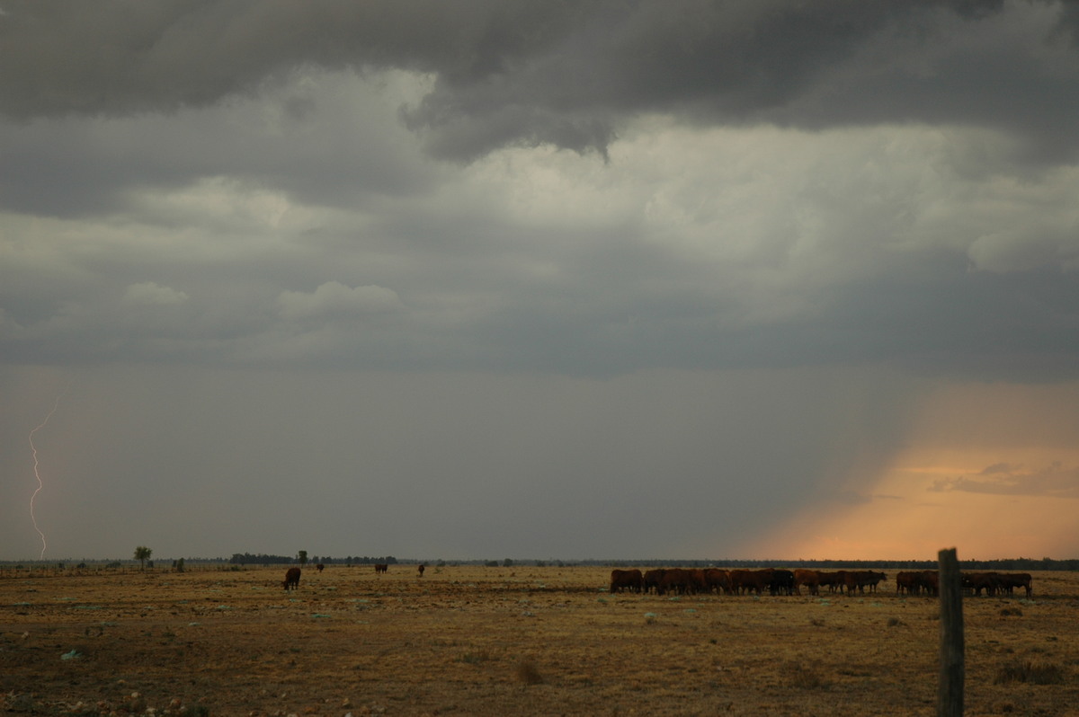 raincascade precipitation_cascade : N of Goodiwindi, QLD   14 January 2007