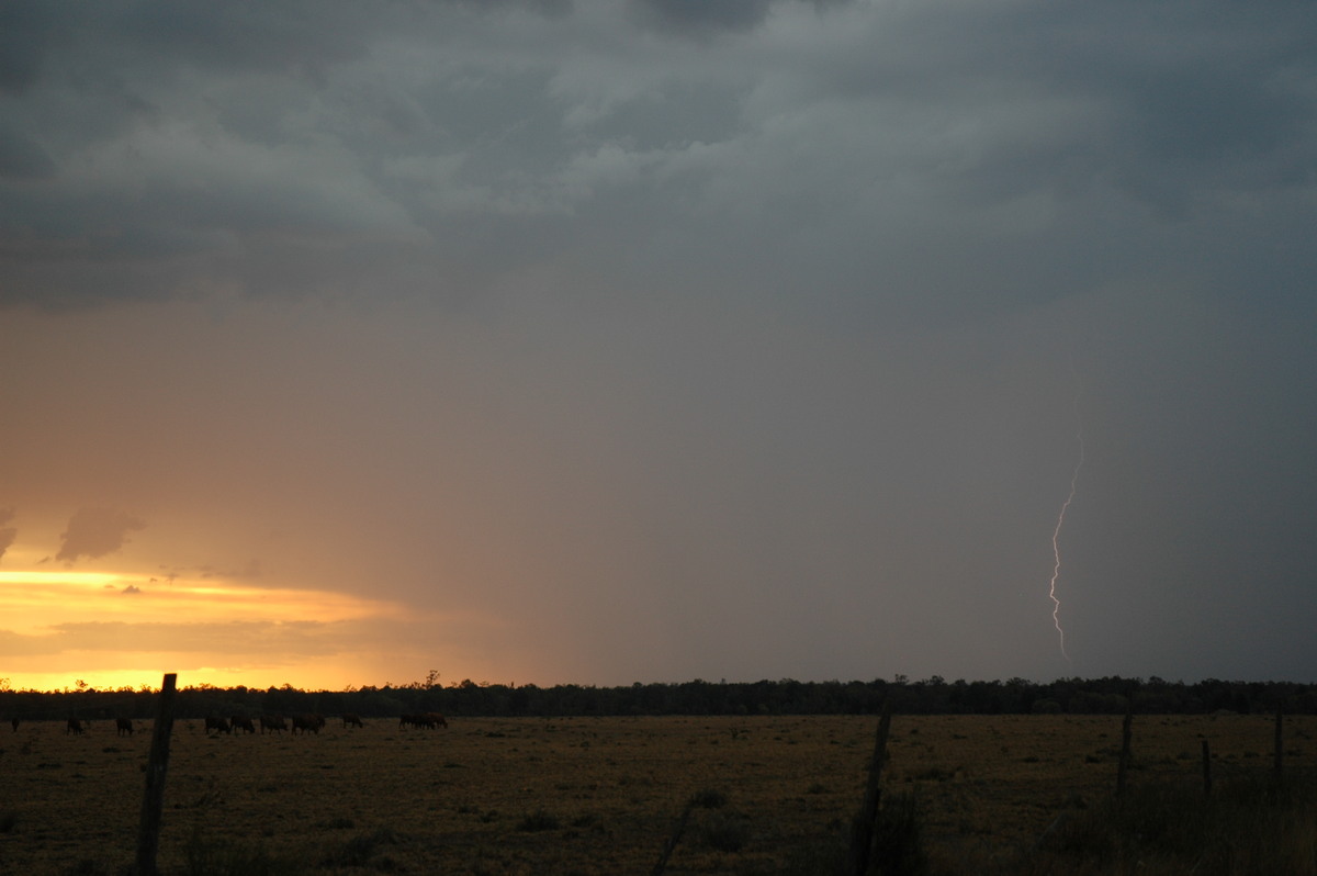 sunset sunset_pictures : N of Goodiwindi, QLD   14 January 2007