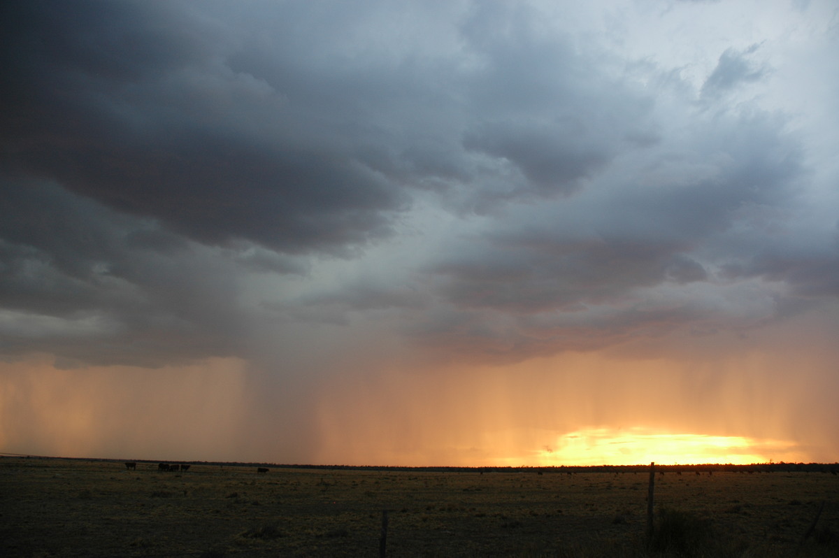 sunset sunset_pictures : N of Goodiwindi, QLD   14 January 2007