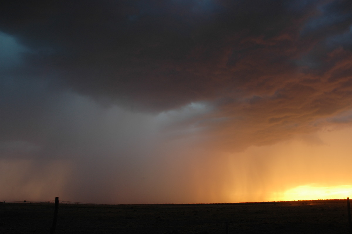 raincascade precipitation_cascade : N of Goodiwindi, QLD   14 January 2007