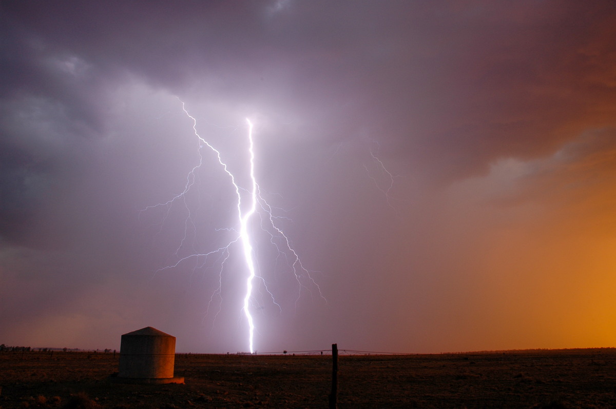 favourites michael_bath : N of Goodiwindi, QLD   14 January 2007