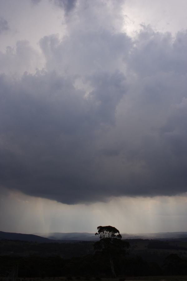 updraft thunderstorm_updrafts : Mt Lambie, NSW   18 January 2007